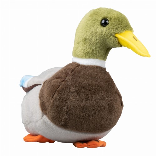e031a588779bdee75b8ba934f3ec175d