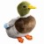 33021900de5331d52bcfb6b4552e0add