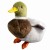 a96ec01a51395ed443ebd94d2b44ba15