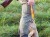 f266b73811a610f3fae5b2abfc2c4273