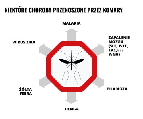 047a0ee7f90a10b337293976c284dbd2