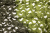 c0930fcd919d929e5275d470f9361f4d